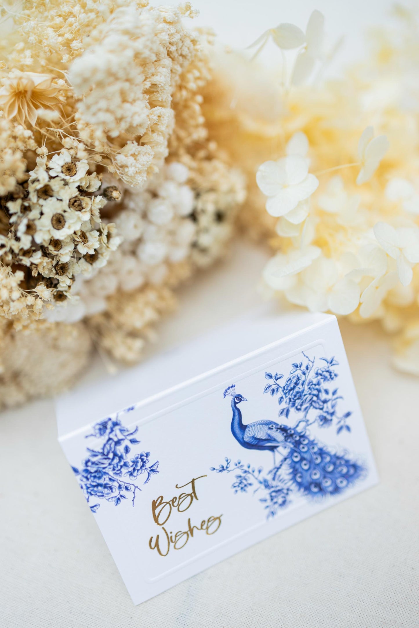 Best Wishes Peacock Foldable Gift Tag Pack of 8