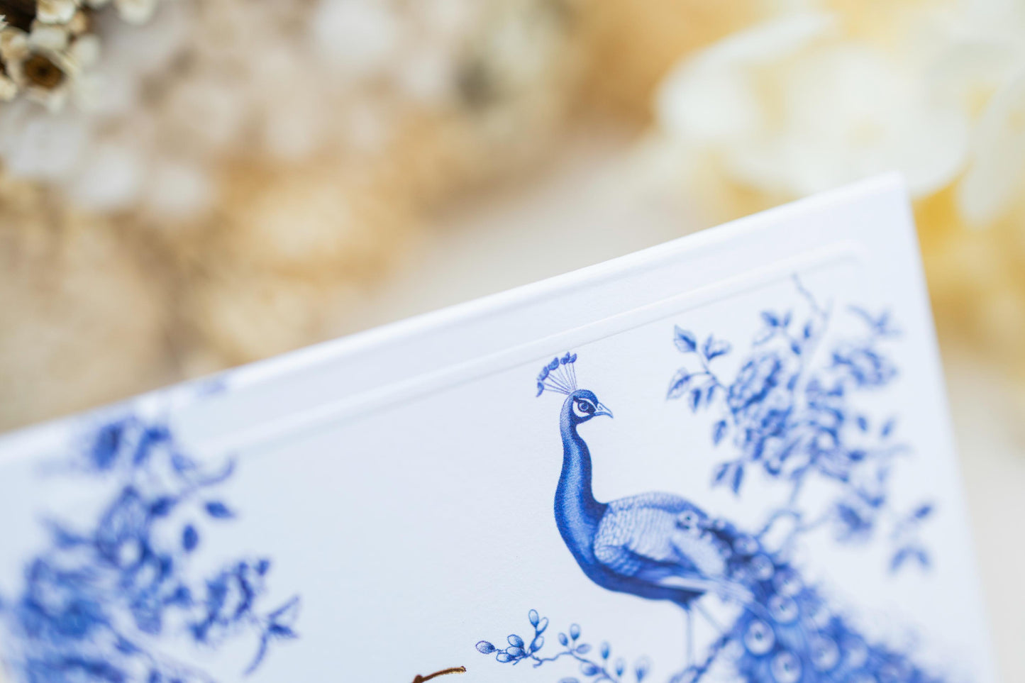 Best Wishes Peacock Foldable Gift Tag Pack of 8