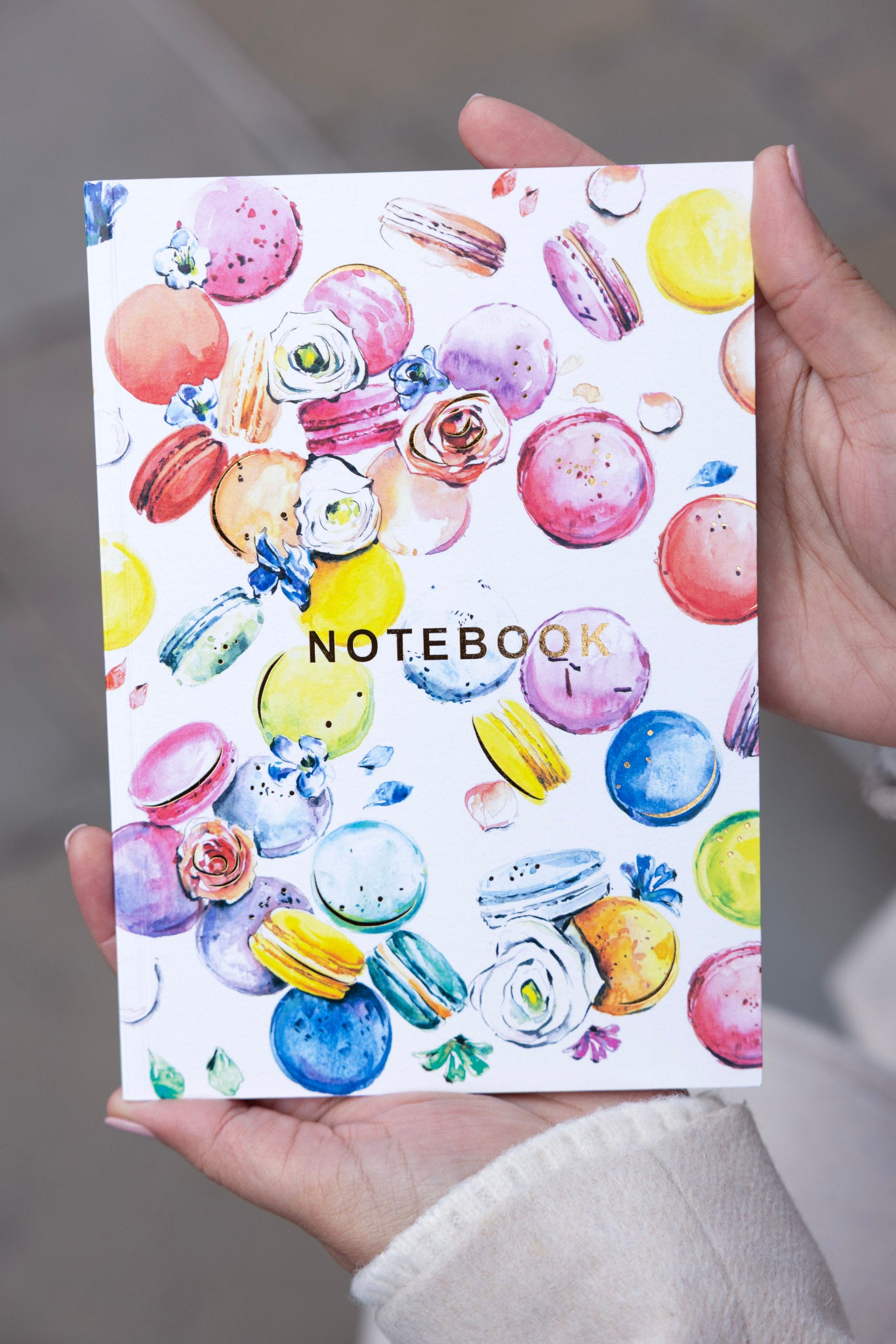 Macaroon Notebook