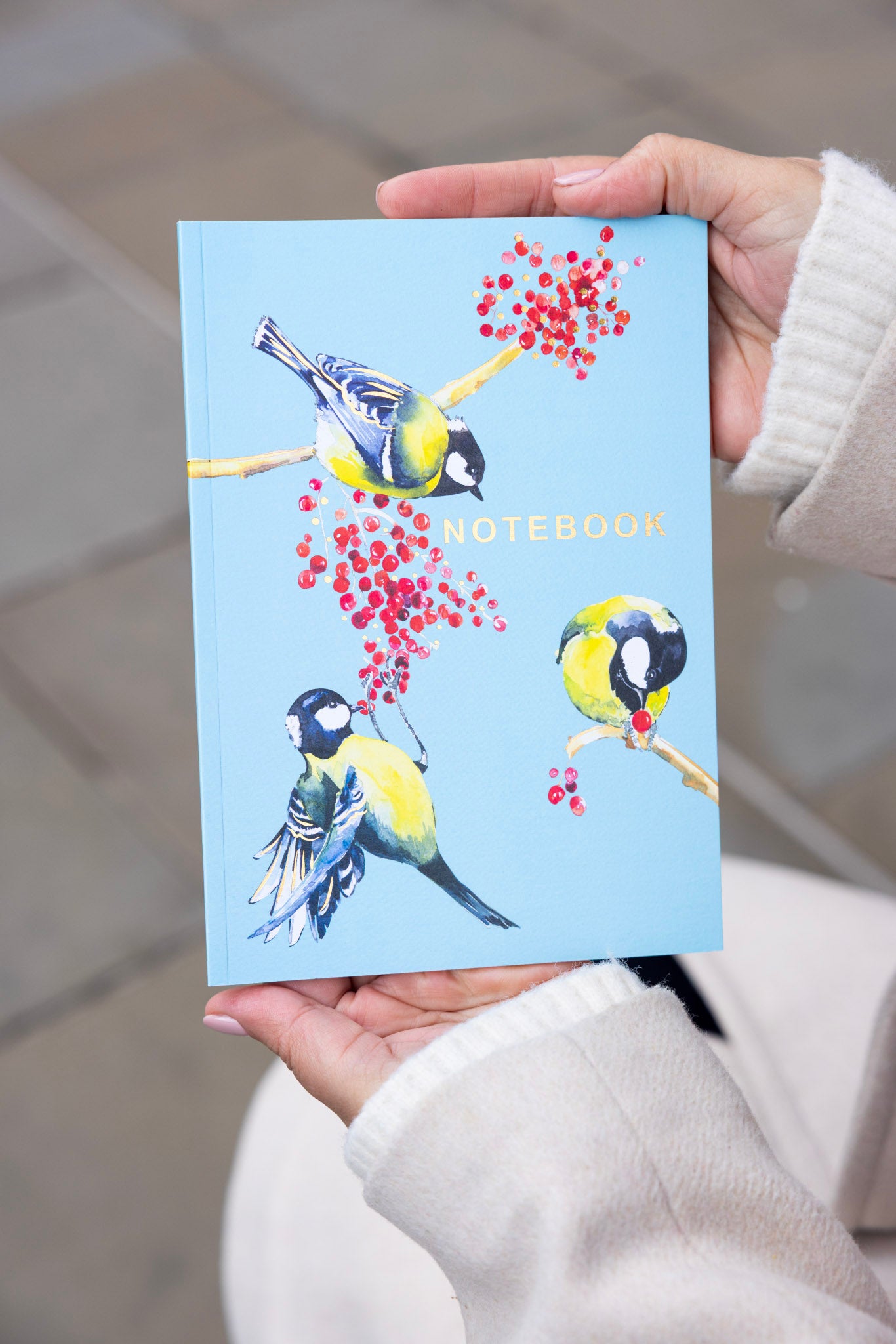 Blue Bird Notebook
