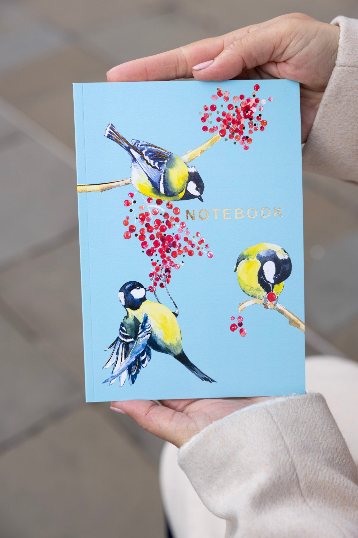 Blue Bird Notebook