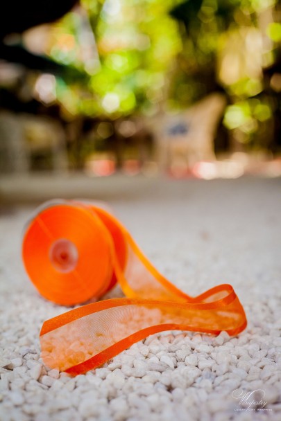 Orange Organza Ribbon